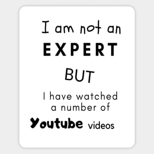 I'm not an expert but I have watched a number of Youtube videos Magnet